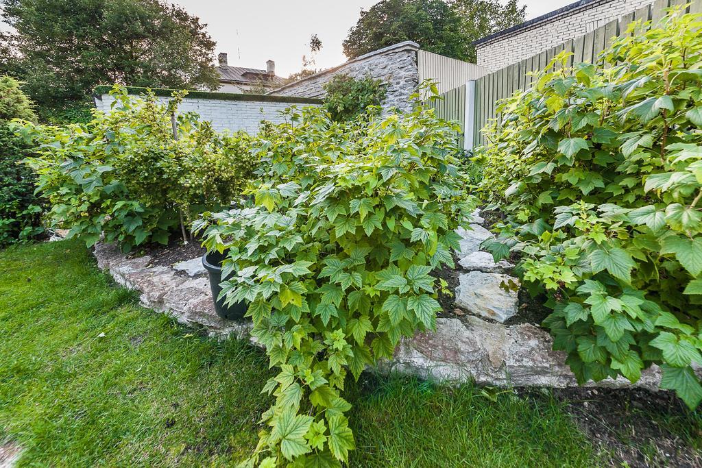 City Center Garden Camping Tallin Exterior foto