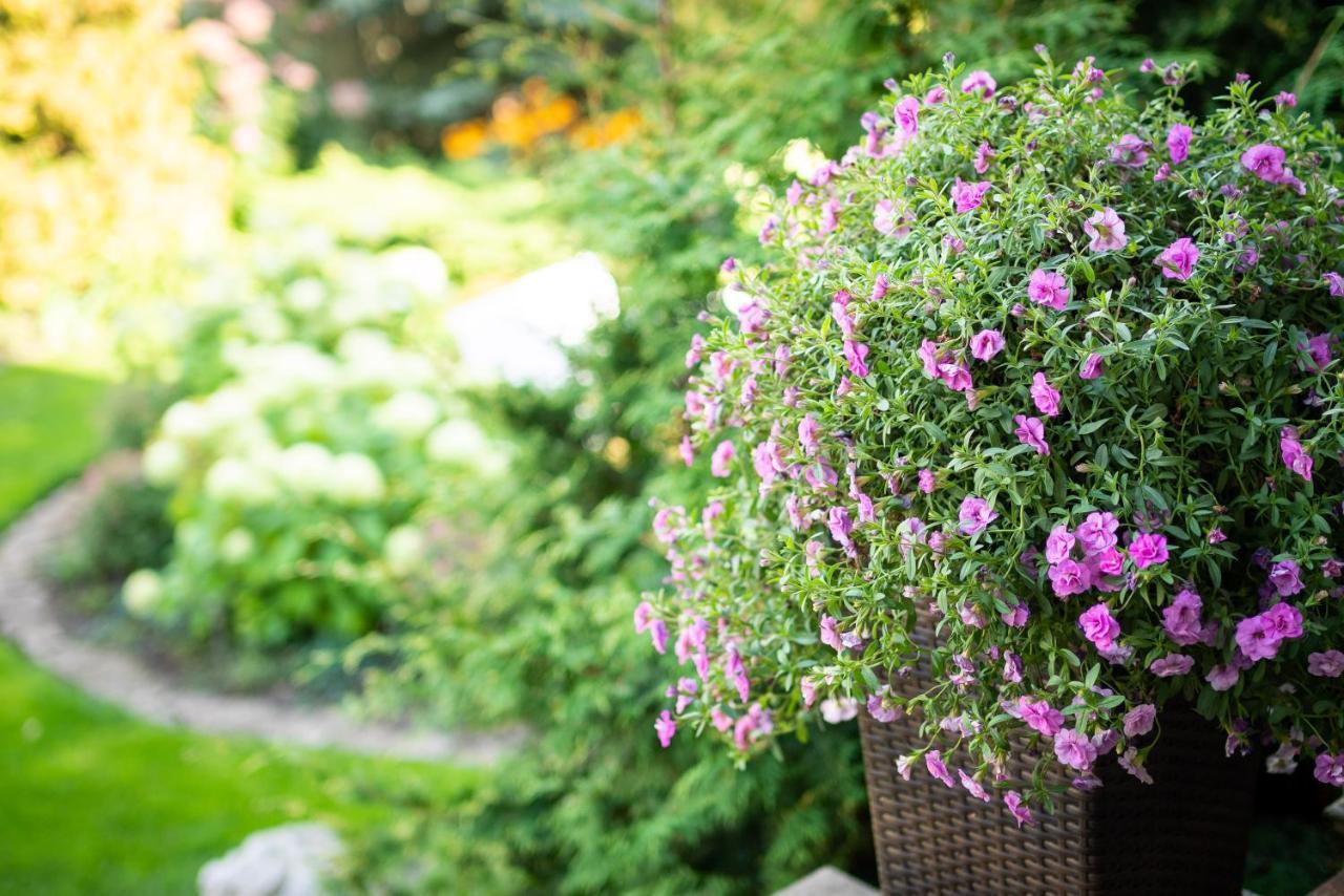 City Center Garden Camping Tallin Exterior foto